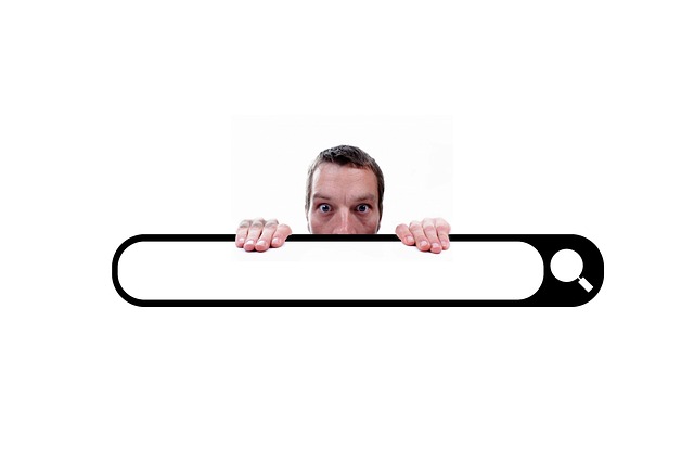 internetové vyhledávání